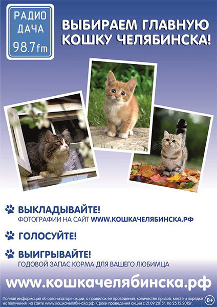 «Радио Дача» Полторы тысячи кошек претендуют на звание «Главная кошка Челябинска»