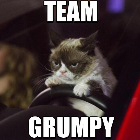 Угрюмый кот Угрюмый кот (Grumpy Cat) фото