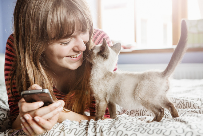 Котенок не ходит в туалет по большому котенок не ходит в туалет по большому