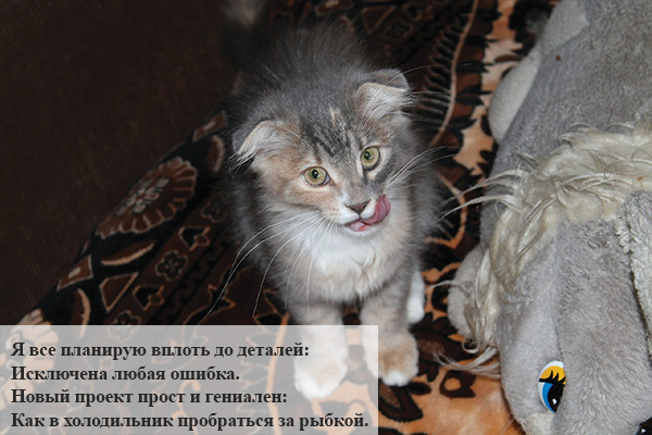 Конкурсы на лучшего питомца Конкурсы на лучшего питомца