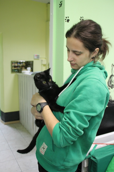 В Волгограде открылось первое котокафе Коты, кошки, котики, мурчалочки