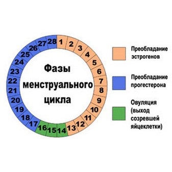 Маточное молочко импотенция Маточное молочко импотенция