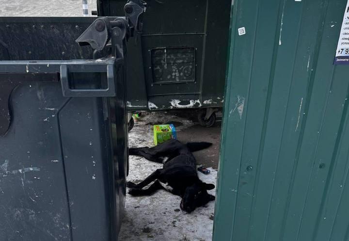  ���� ������ ������� ������� �������� ������ ������ ��������� 