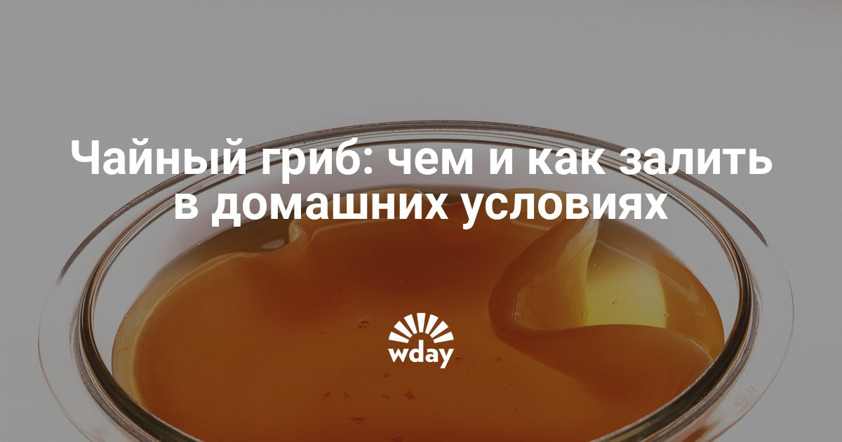 Как сделать чайный гриб в домашних условиях фото 802