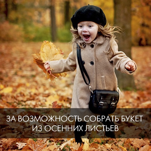 6. За возможность собрать букет из осенних листьев