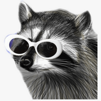 Аватарка Naughty Raccoon 🦝