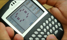 31  2020       Blackberry