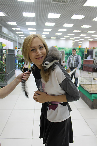 контактный зоопарк лемур като