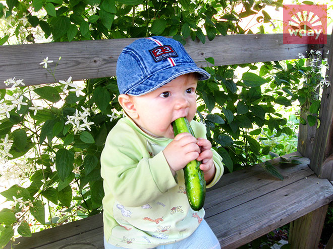 Матвей, 1,5 года Ребенок не ест