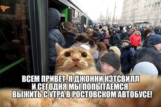 Ростов: 100 лучших мемов о городе, фото, демотиваторы Ростов: 100 лучших мемов о городе, фото, демотиваторы