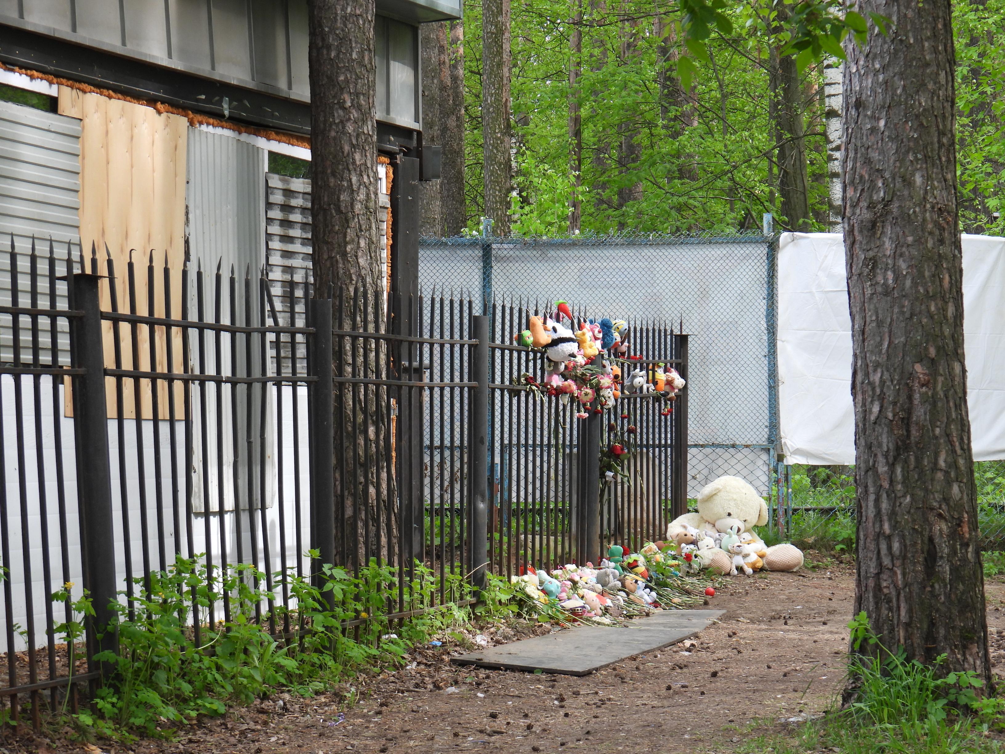 Фото: 59.ru
