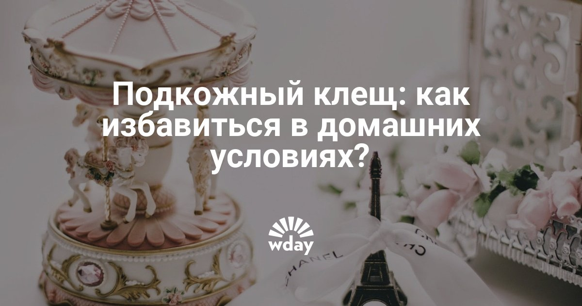 Настойка из валерианы в домашних условиях 522