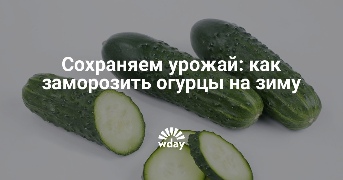 Как сохранить свежие огурцы на зиму в домашних условиях