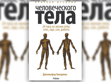 Дж. Эккерман «Краткая история человеческого тела. 24 часа из жизни тела: секс, еда, сон, работа» Дж. Эккерман «Краткая история человеческого тела. 24 часа из жизни тела: секс, еда, сон, работа»