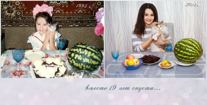 красивые кошки красивые кошки