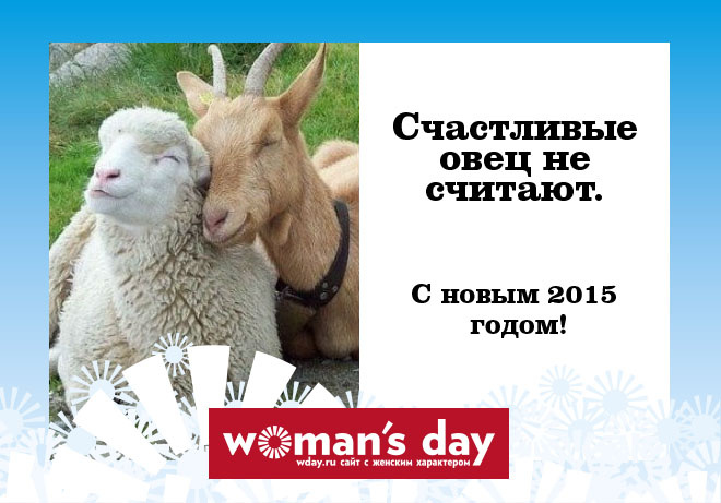 фразы про овечку фразы овечка