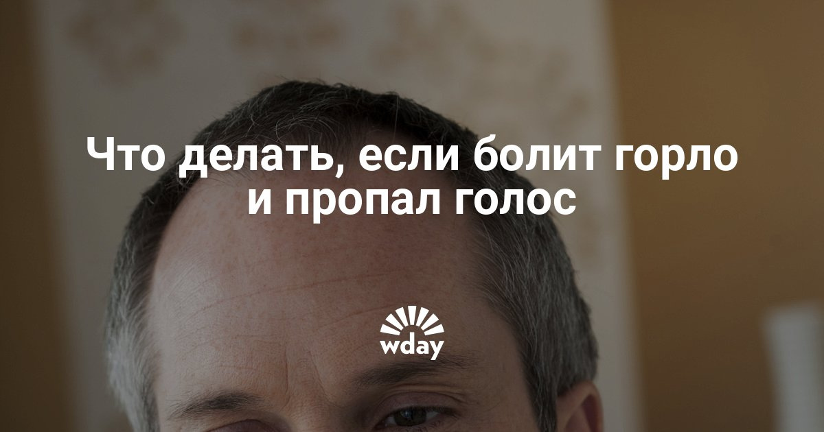 Что сделать чтобы пропал голос в домашних 796