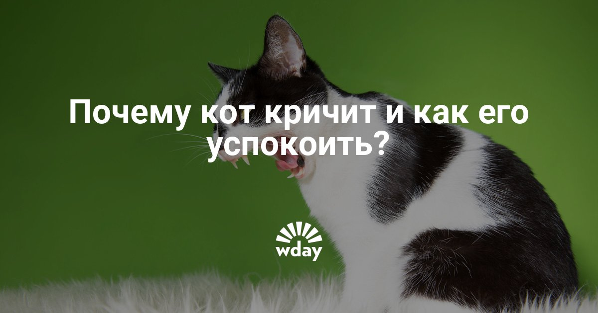 Характеристика болей в области кишечника