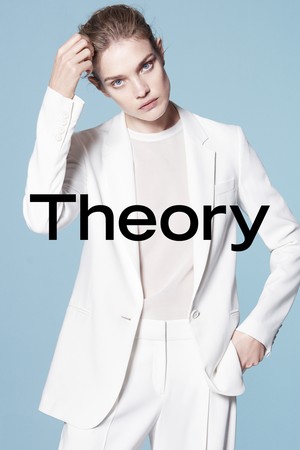      theory 