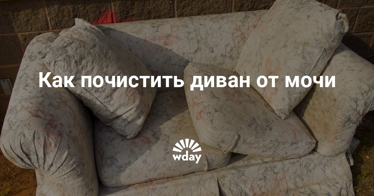 soobshenie mne pyatno ot kak s divana mochi s ochistit prosheniya Как очистить с дивана пятно от мочи с фото