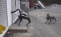      Boston Dynamics