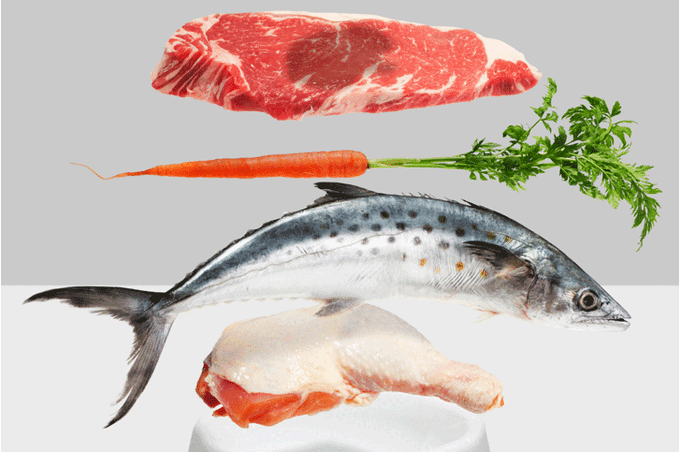 Несколько советов от диетолога Пьера Дюкана Натюрморт: мясо, рыба, морковь