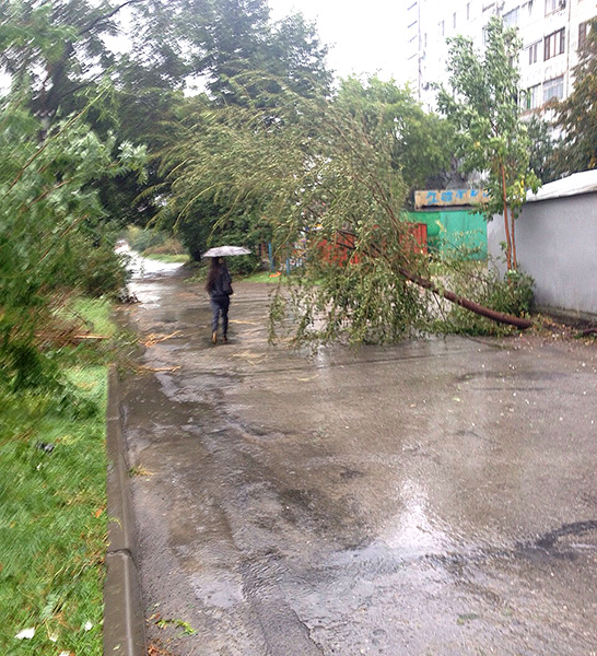 Ураган в Ростове 24 сентября 2014 фото Ураган в Ростове 24 сентября 2014 фото