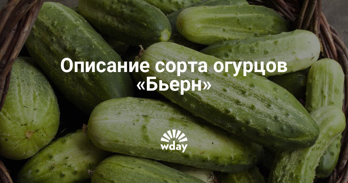 Посадка и уход за орехом маньчжурским Посадка и уход за орехом маньчжурским