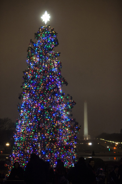 Красивая новогодняя елка 2015 фото