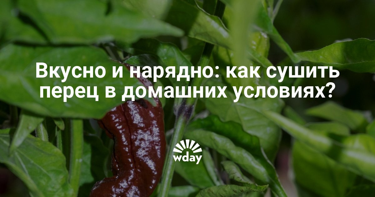Как хранить перец в домашних условиях Как хранить перец в домашних условиях