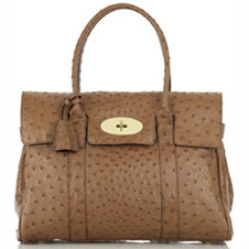 Mulberry Mulberry