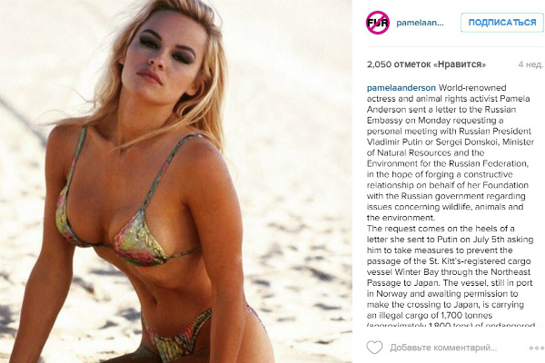У фонда Памелы Андерсон есть свой аккаунт в Instagram Памела Андерсон приедет во Владивосток защищать животных