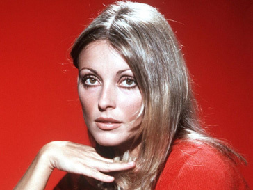 Актриса Шарон Тейт (Sharon Tate) Актриса Шарон Тейт (Sharon Tate)