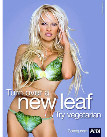 Памела Андерсон (Pamela Anderson)