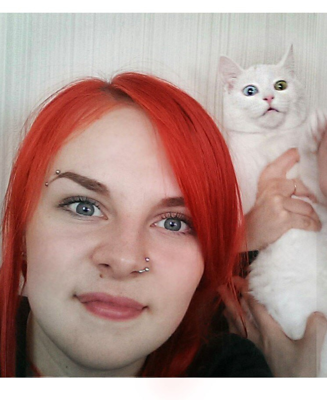 красивые коты и кошки красивые коты и кошки