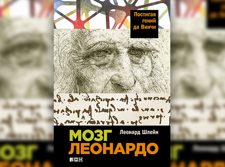 Мозг Леонардо Мозг Леонардо
