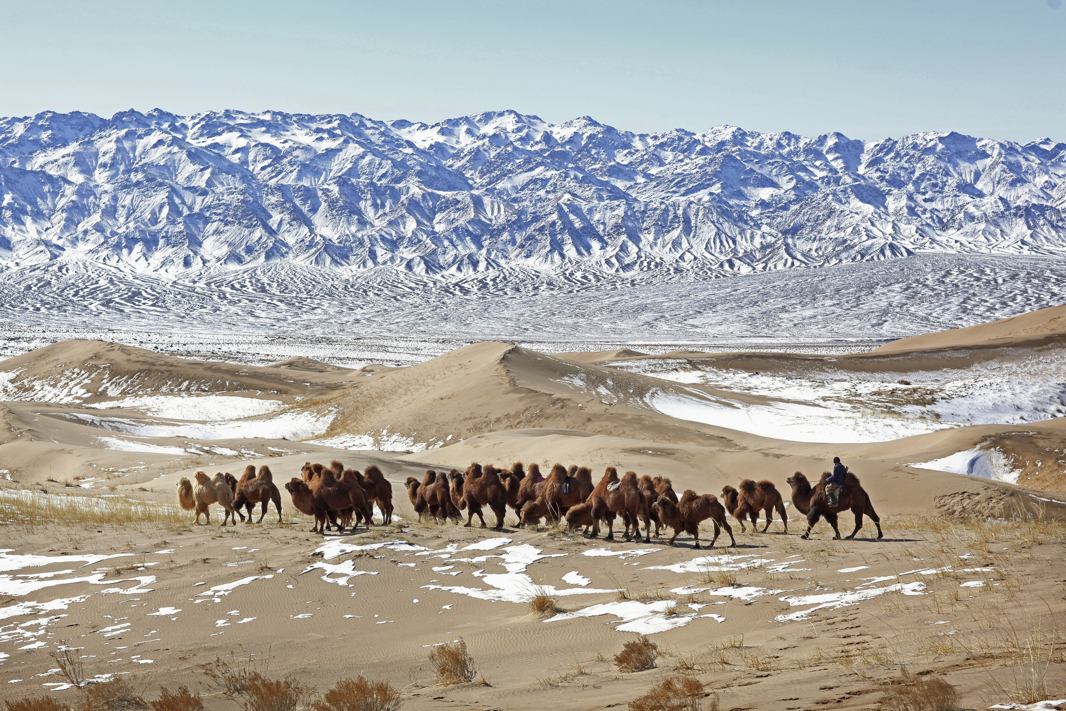 Пустыня Гоби Монголия в снегу
