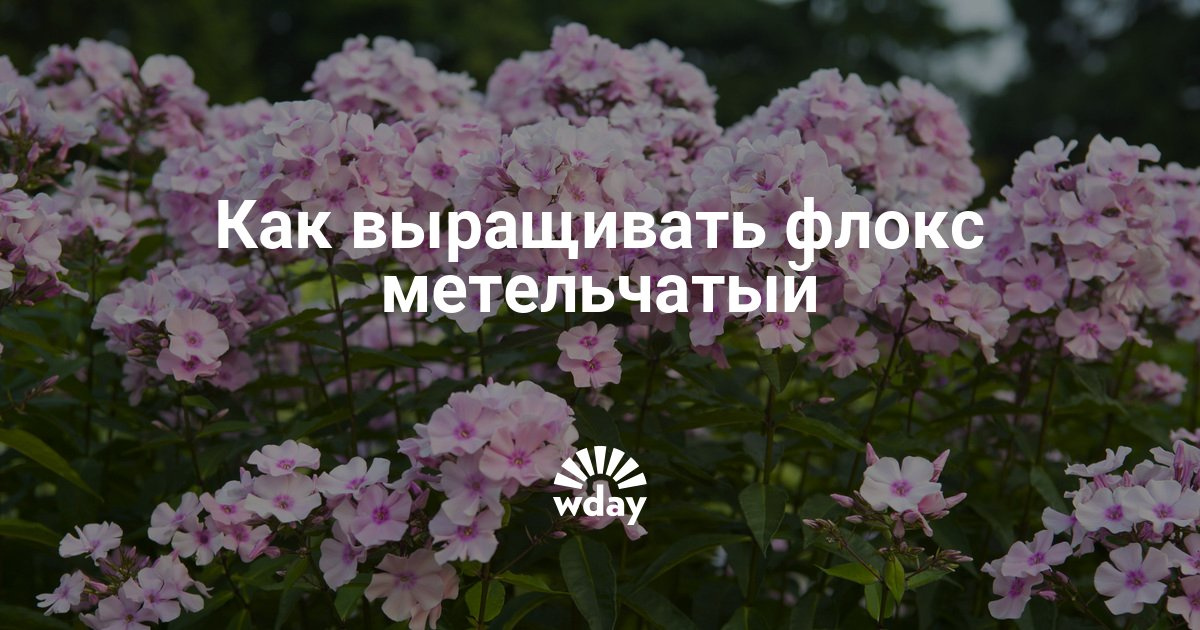 Схемы вязания крючком снудов с описанием 54