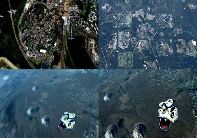 Жоан Леандре, фотография Жоан Леандре, фотография