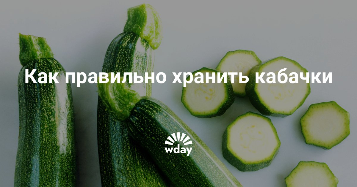 Как правильно хранить кабачок в домашних условиях 71