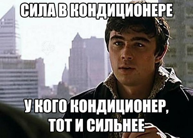 Жара в Волгограде: фото волгоградцев из соцсетей Волгоград, жара, лето, мошка, комары, средства от мошки, смешные картинки
