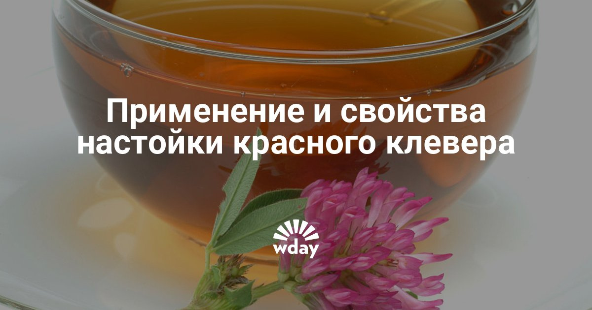 Настойка клевера на водке для сосудов - как 89 Настойка клевера на водке для сосудов - как 33