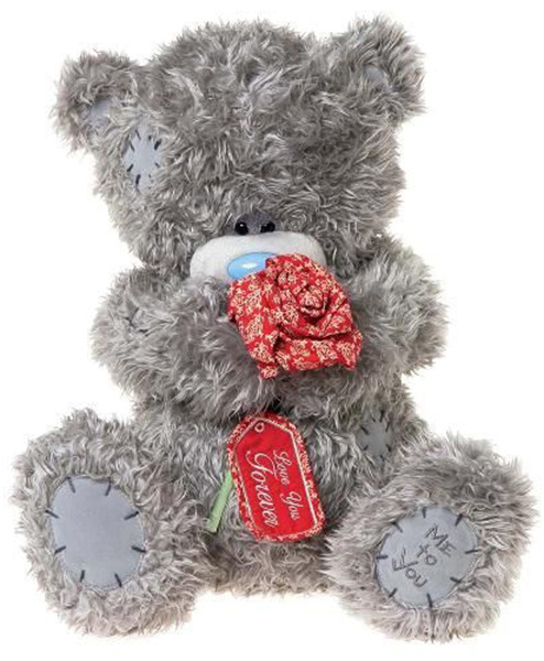 teddy teddy