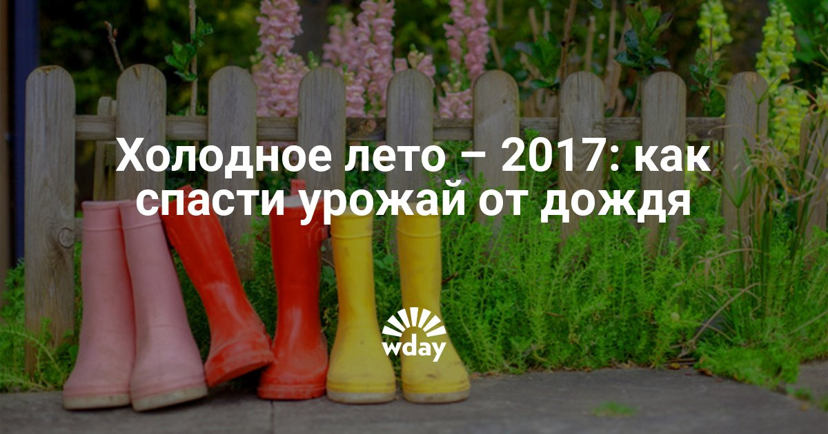 Церковные праздники в сентябре, октябре, ноябре 2017 сегодня Календарь садовода огородника 2018. Посевной календарь