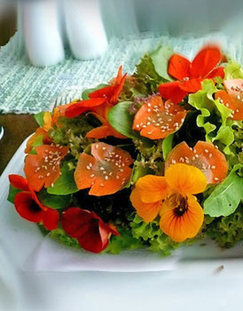 зеленый салат, овощной салат, салат к шашлыку, рецепты, рецепты салата, весенний салат, пикник