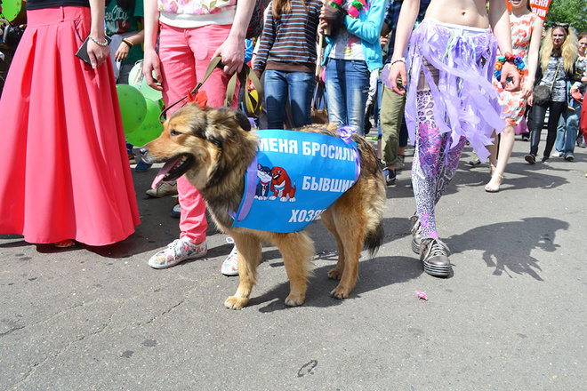 Иркутск. День города