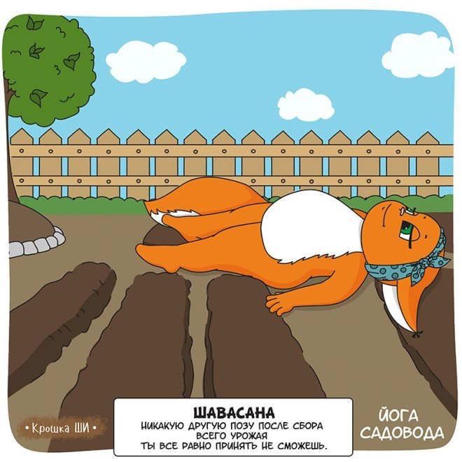 Крошка Ши: йога садовода Крошка Ши: йога садовода