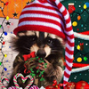 userpic__Naughty Raccoon 👻