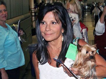 Линн Спирс (Lynne Spears) Линн Спирс (Lynne Spears)