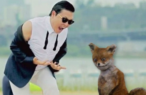 PSY и чучело лисы PSY и чучело лисы